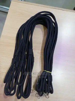 Security Lanyard