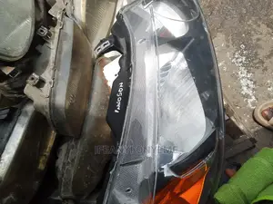 Headlight and Body Parts