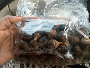 Gorontula Fruits 50pcs