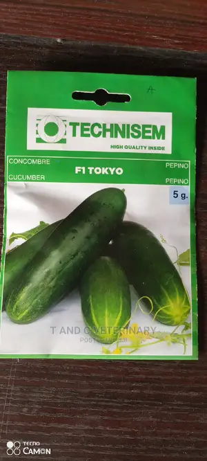 F1 Tokyo Cucumber Seeds 5g