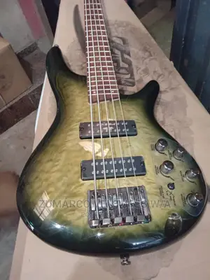 5strings Professional Guitar Ibanez