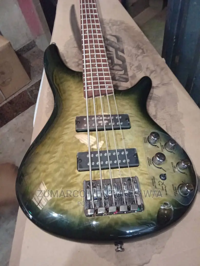 5strings Professional Guitar Ibanez