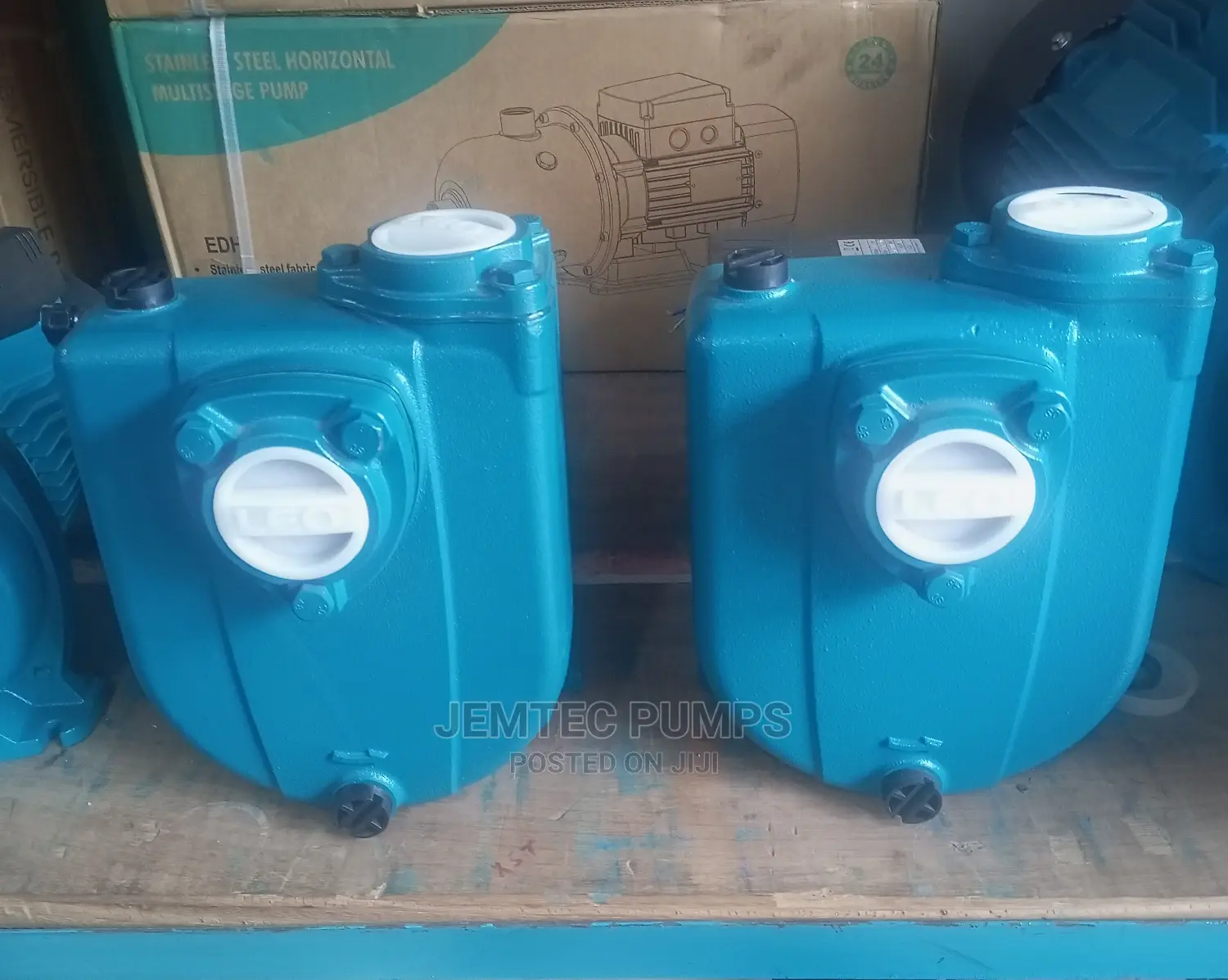 Diseale Transfer Pump