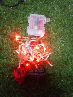 Halloween Skeleton Skull String Lights 12ft