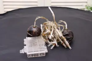 Halloween Skeleton Skull String Lights 12ft