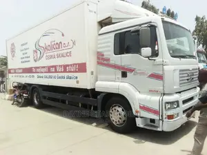 Cooling Van Man Tga