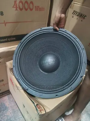 18" Subwoofer Naked Speaker, Big Magnet