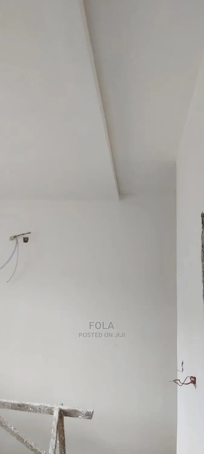 Drywall Ceiling/Wall Screeding/Lightning