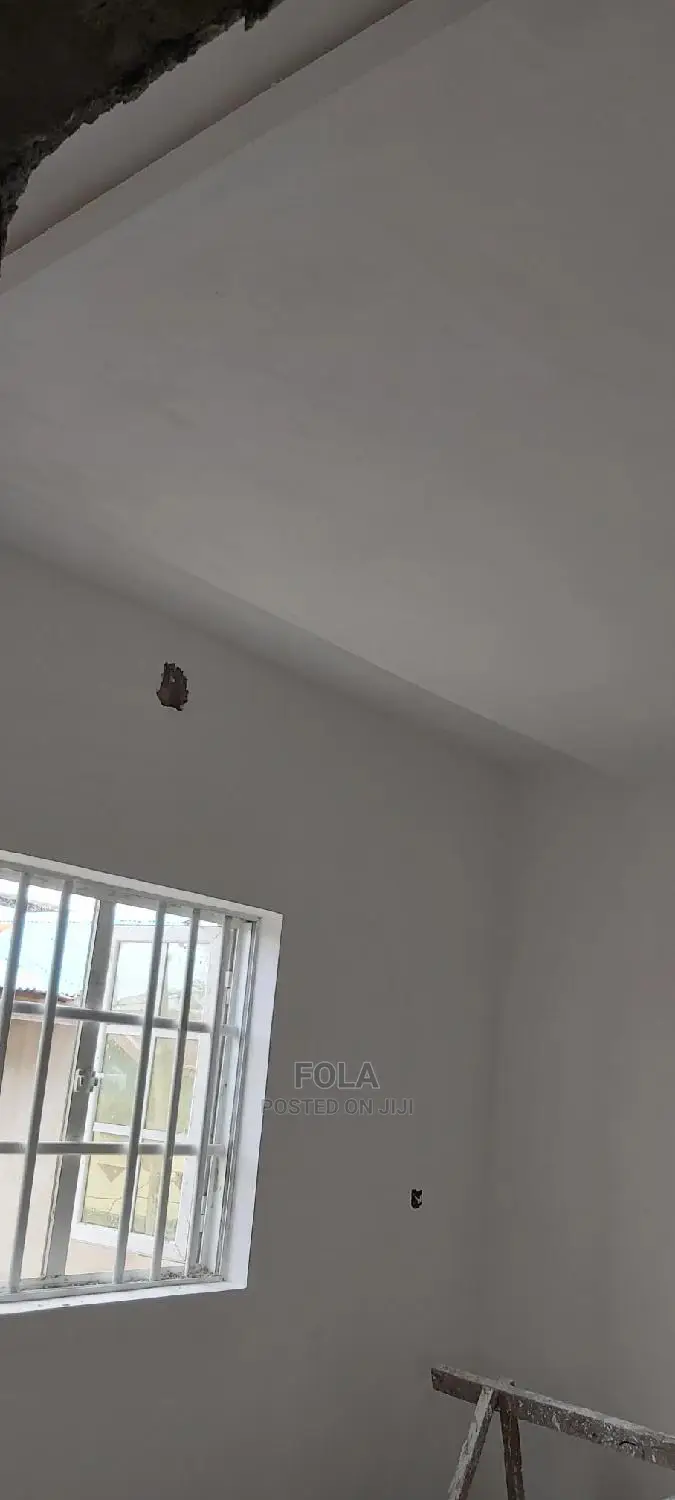 Drywall Ceiling/Wall Screeding/Lightning