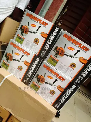 Brush Cutter Worxflex