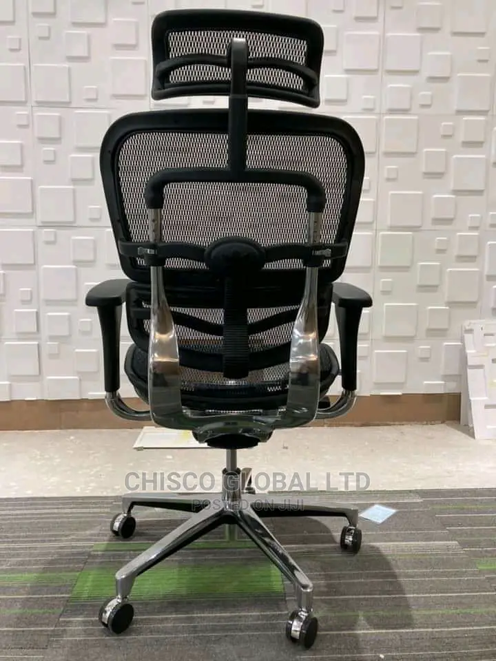 Office Chair (Orthopedic)