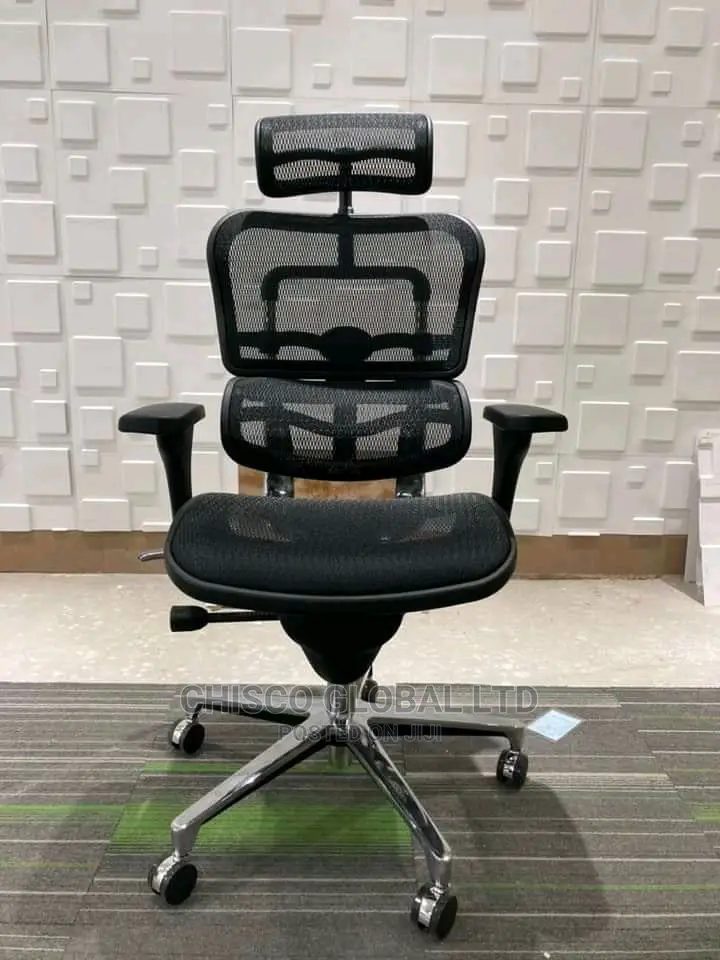 Office Chair (Orthopedic)