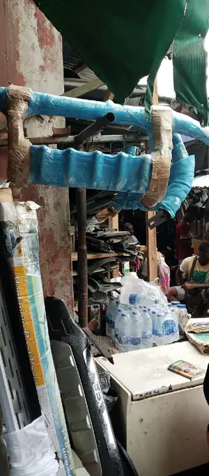 Protector and Car Steps