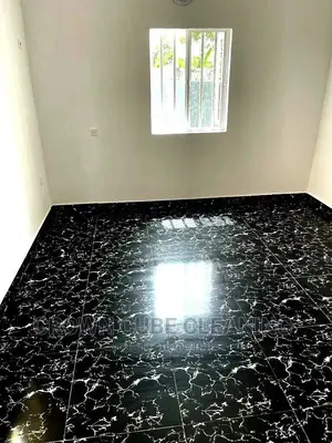 Cleaning House Cleaning Expert