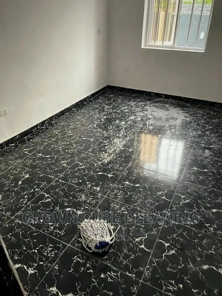 Cleaning House Cleaning Expert