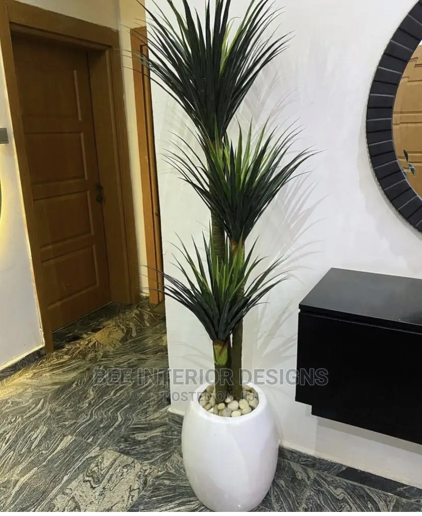 Plants and Planter