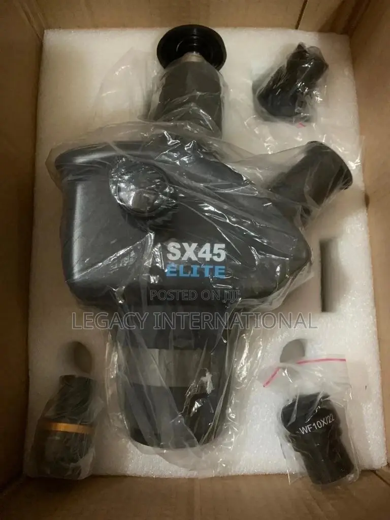Stereo Microscope