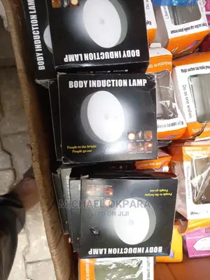 Body Induction Lamp