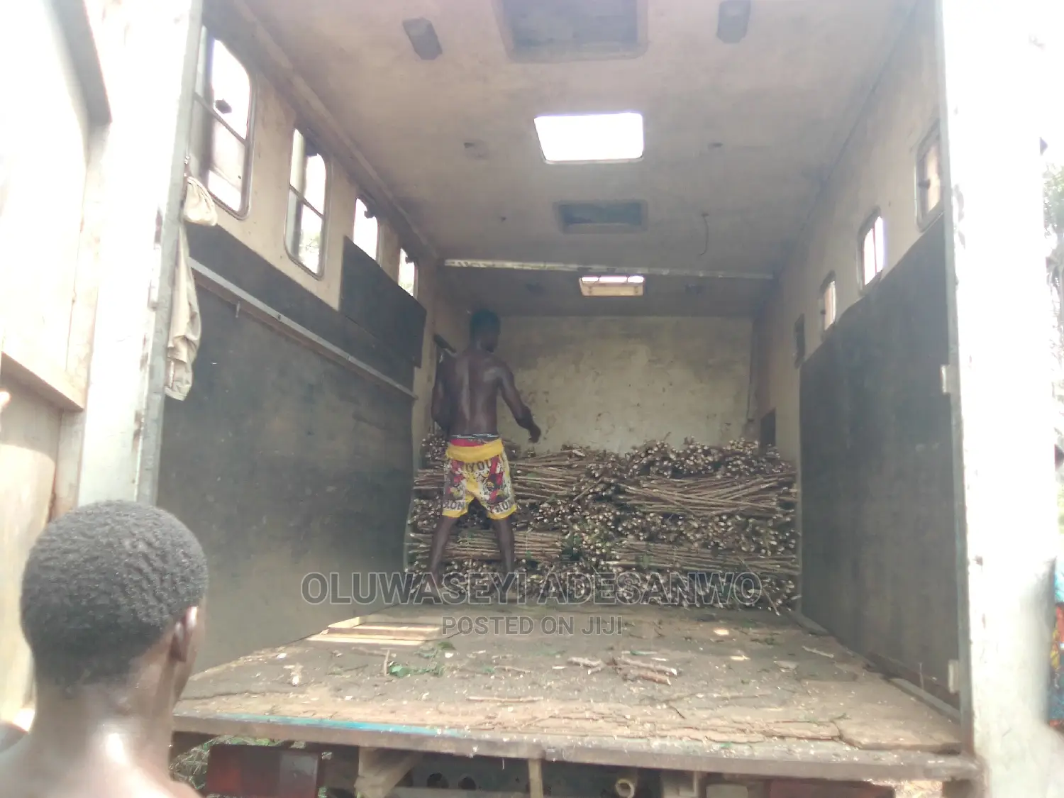 Cassava Stems For Sale