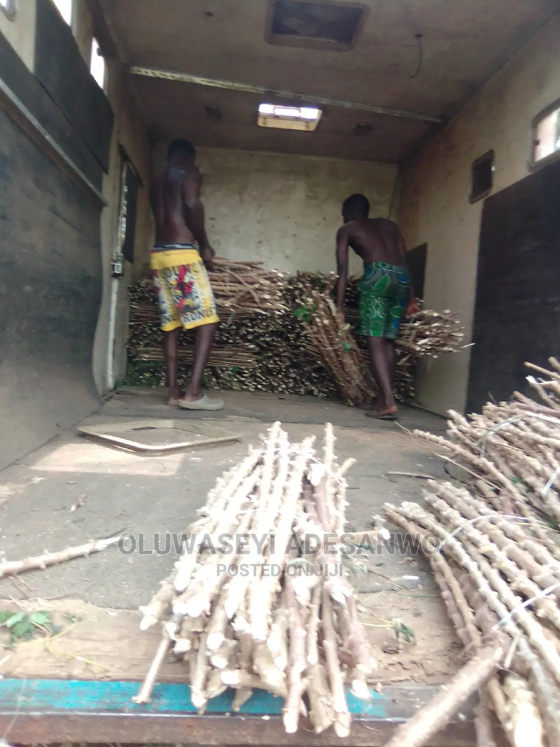 Cassava Stems For Sale