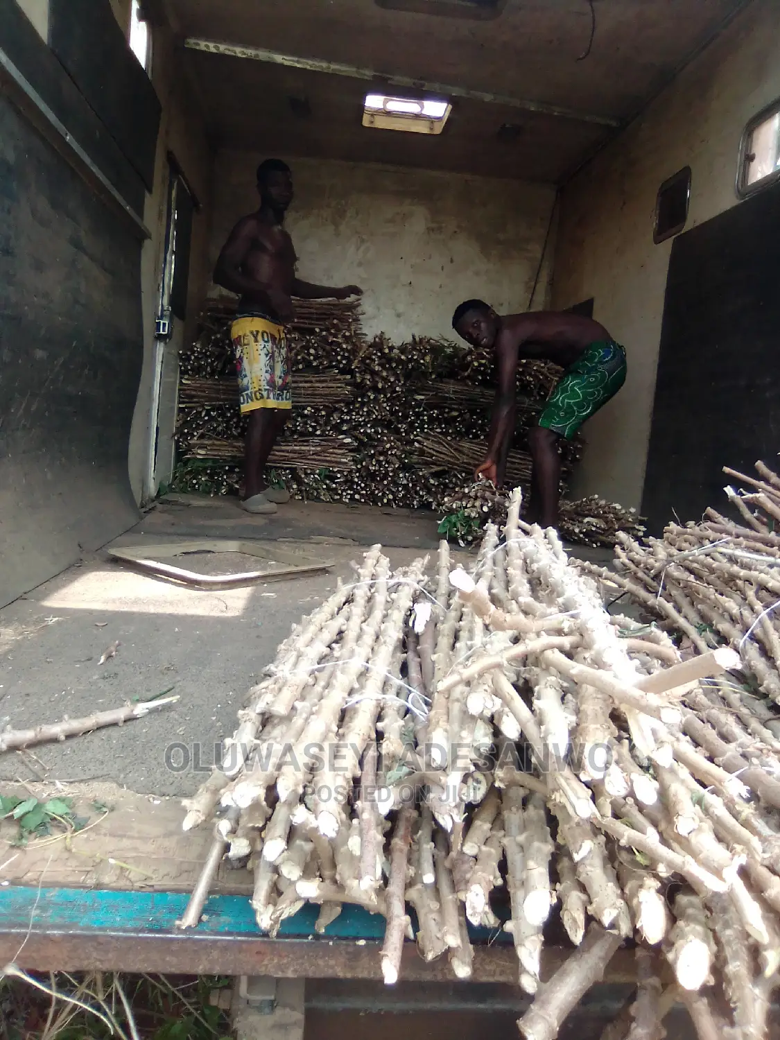 Cassava Stems For Sale