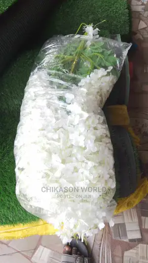 Dropping Flowers 