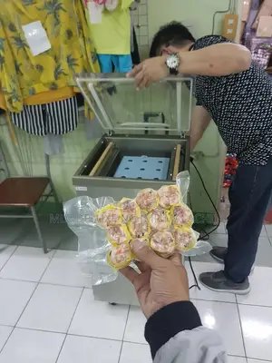 INDUSTRIAL Vacuum Sealing Machine/Food Vacuum Machine (STAND