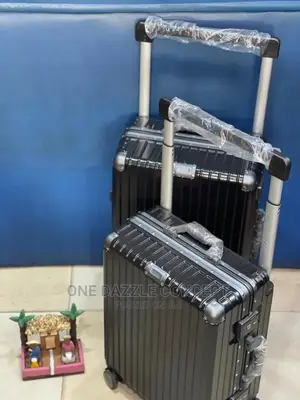 Hard Shell Luggage (Biggest)