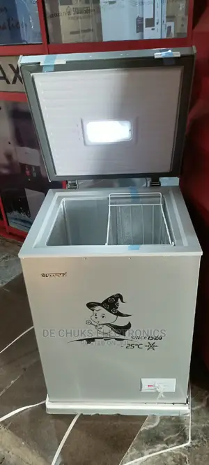Snow Sea Chest Freezer With External Condenser-100 Liters