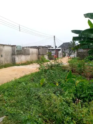 Dry Land at Gra Abacha Rd With Cofo