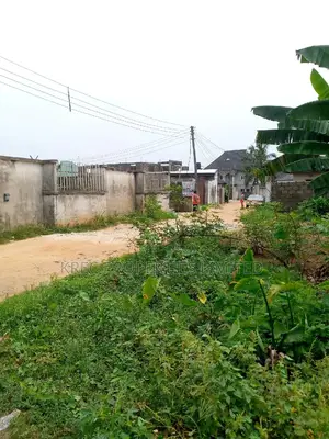 Dry Land at Gra Abacha Rd With Cofo