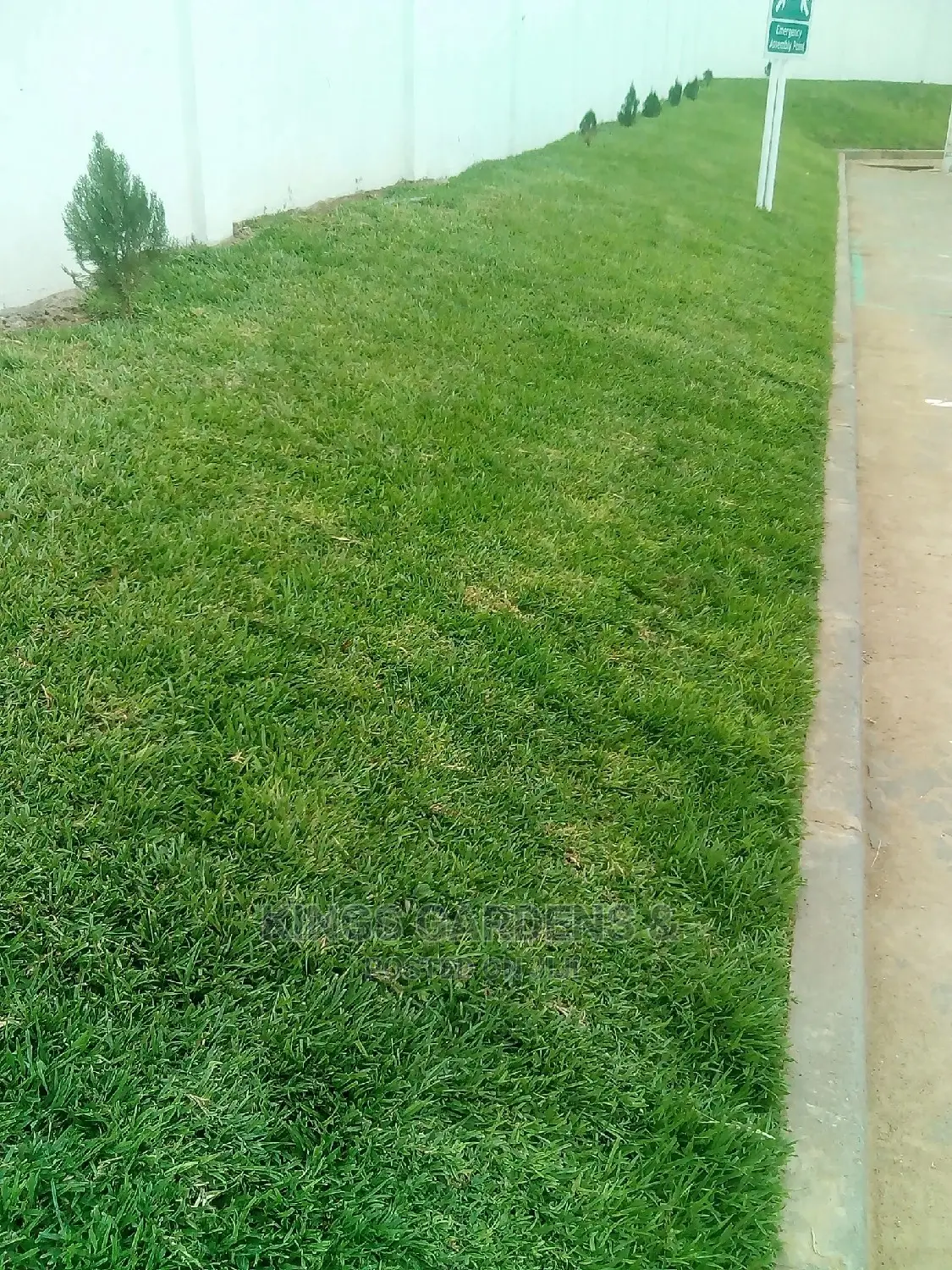Horticultural Services