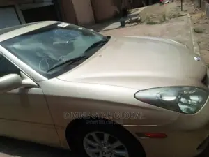 Lexus ES 330 Sedan 2004 Gold