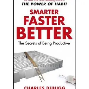 Smarter Faster Better : The Secrets of Being Productive