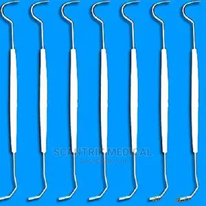 Disposable Double Hook Tooth Dental Explorer Probe Tool