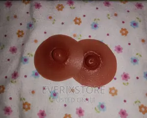 Artificial Nipple