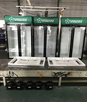Double Door Display Chiller