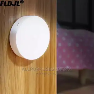 Body Induction Lamp