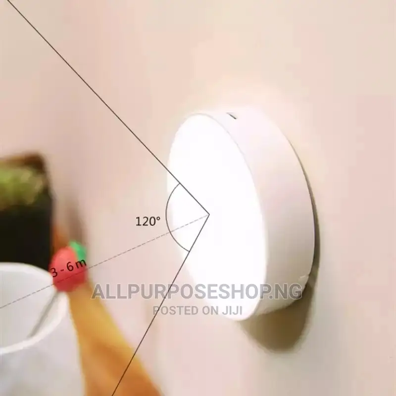 Body Induction Lamp