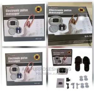 Electronic Pulse Massager
