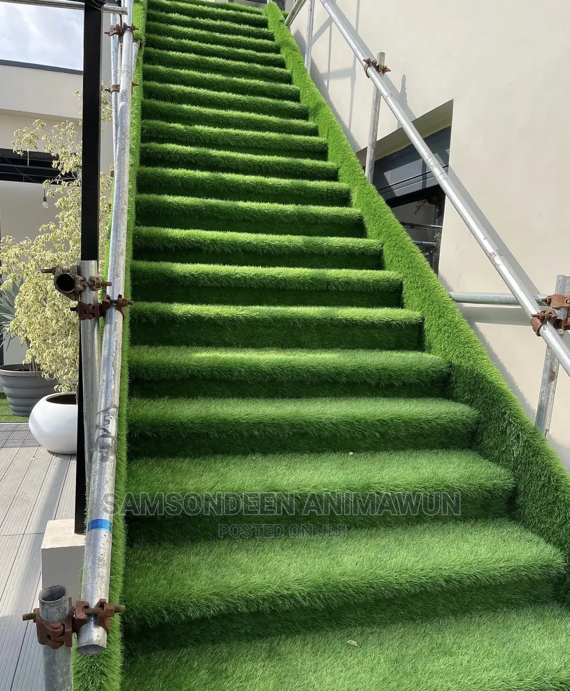 Turkish Grass (Rivers)