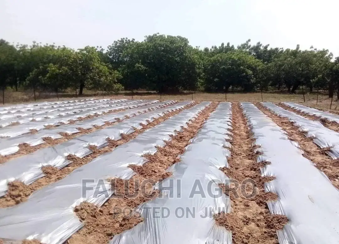 Mulch Film