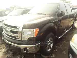 Ford F-150 Platinum 2010 Black