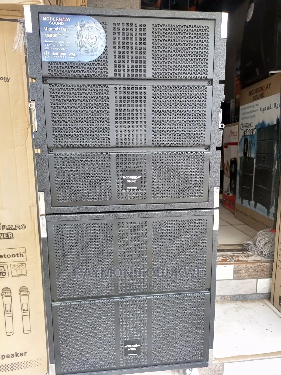 Line Array Professional Rechargeable Speaker Set
