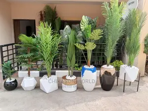 Flowers Vase With Pot