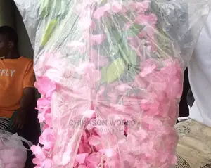 Dropping Flowers 