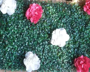 Wall Boxhood Mat