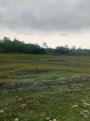 Developer’S Delight, Over 100 Plots of C of O Land at Monast