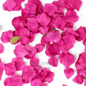 Fuchsia Pink Rose Petals - 300pcs