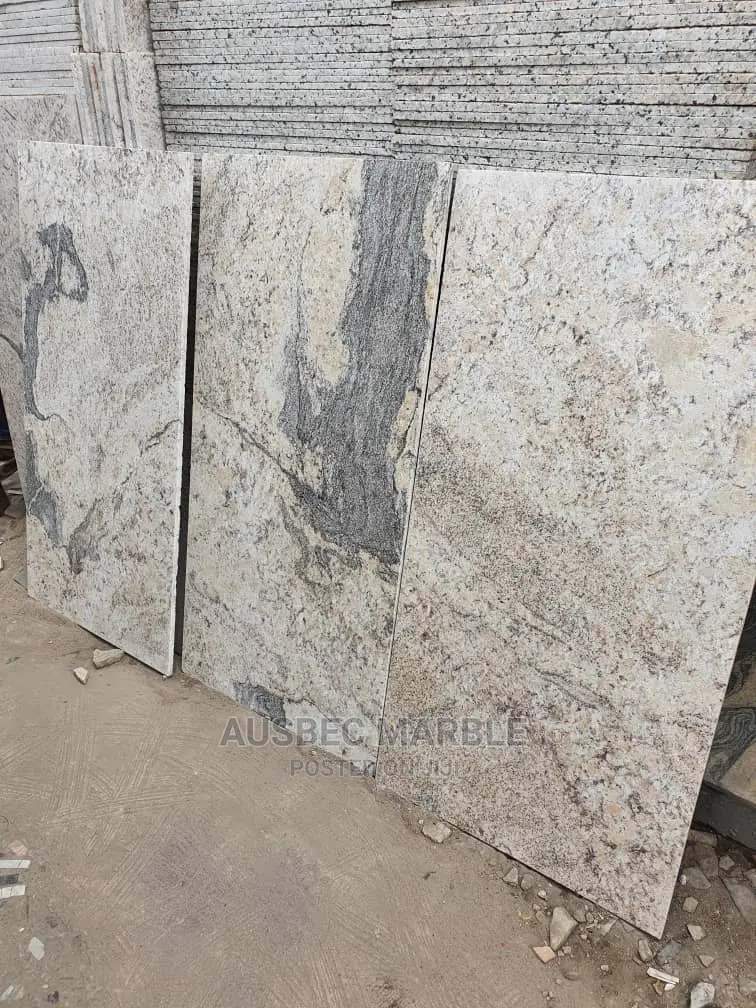 Executive Granite Tiles for Sitting Room